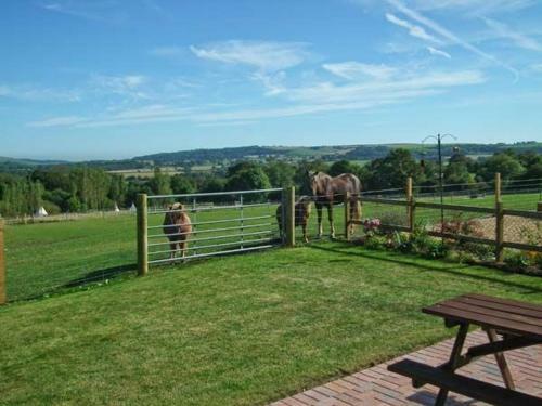 3 The Stables
