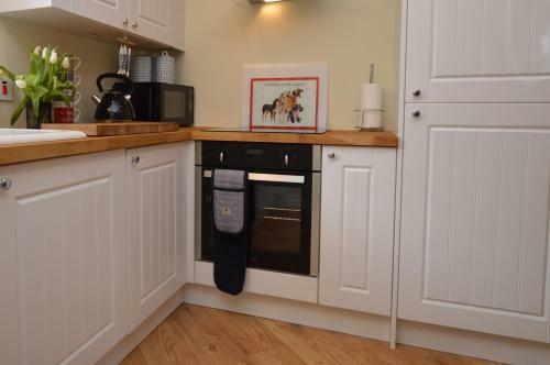 Dolphin Run