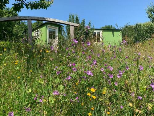 The Tregothnan Shepherds Hut