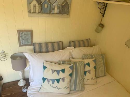 The Tregothnan Shepherds Hut