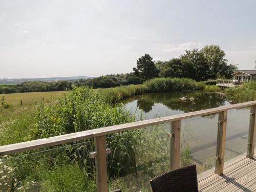 12 Faraway Fields