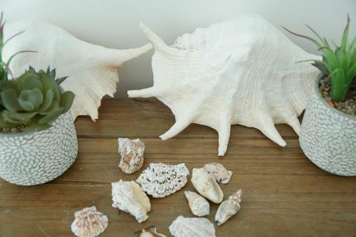 Apartamento Ocean House - Shells