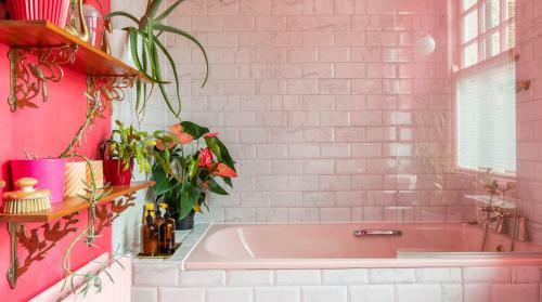 Apartamento Plum Guide - Pink Acid