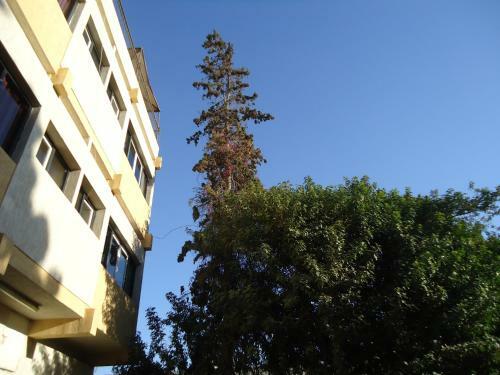 Hostal Takad Dream Hostel Agadir