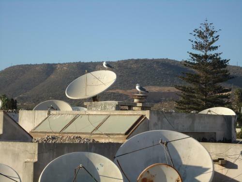 Hostal Takad Dream Hostel Agadir