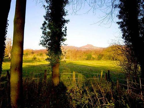 Beechwood Cottage