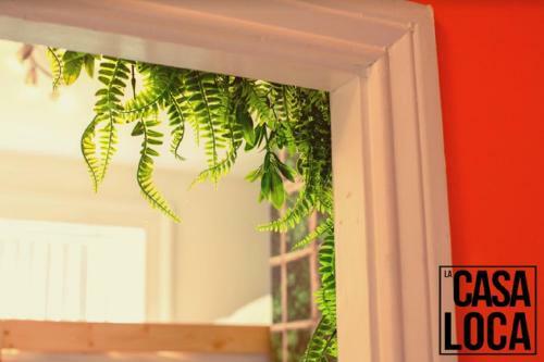 Apartamento Newcastle Jungle Retreat Hampton Gardens