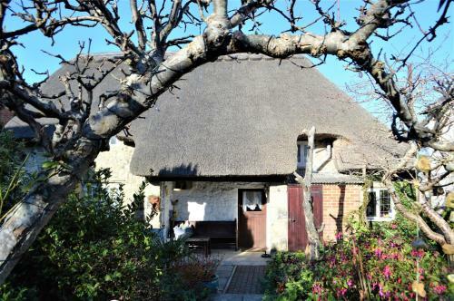 Ye Olde Cottage