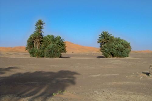 Bed & Breakfast Kasbah Tamariste