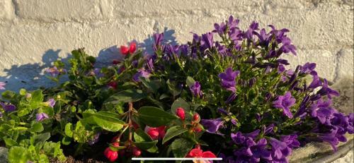 Bed & Breakfast George & Dragon Hotel Wolverton Townsend