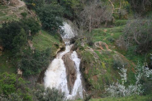 Posada Tahla Garden