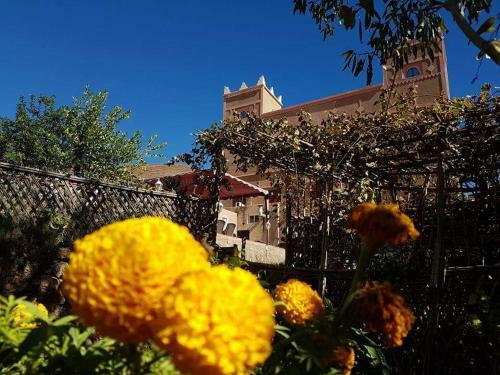 Bed & Breakfast Auberge Restaurant Le Safran