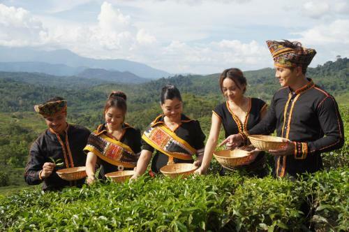 Lodge Sabah Tea Garden @ Cottages