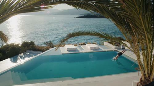 Hotel The Island Concept