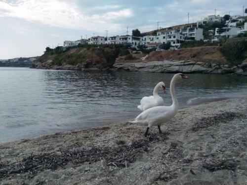 Apartamento Villa Bonatsa Andros Home