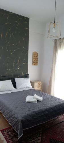 Beauty Philosophy Apart Near Beach