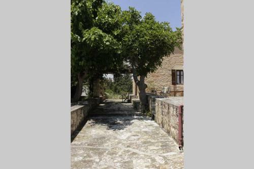 Theano Traditional House Mountain And Field View