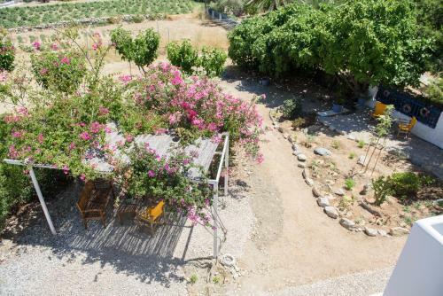 Apartamento Porto Katapola Pension