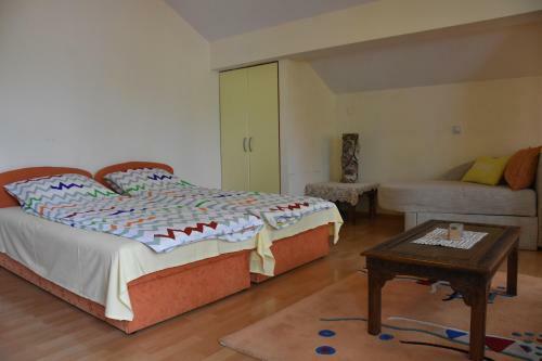 Bache Apartments