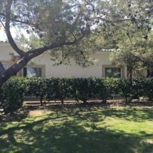 Hotel Marzi Beach And Bungalows