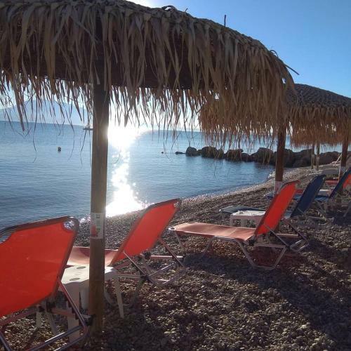 Hotel Marzi Beach And Bungalows