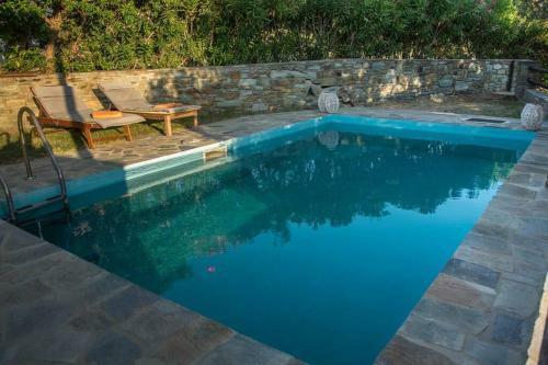 2ag252-house With A Pool In Andros