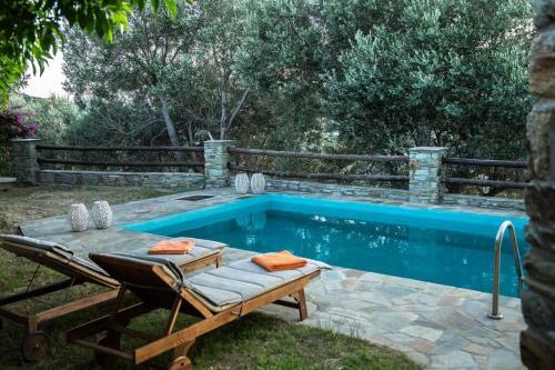 2ag252-house With A Pool In Andros