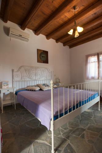 2ag252-house With A Pool In Andros