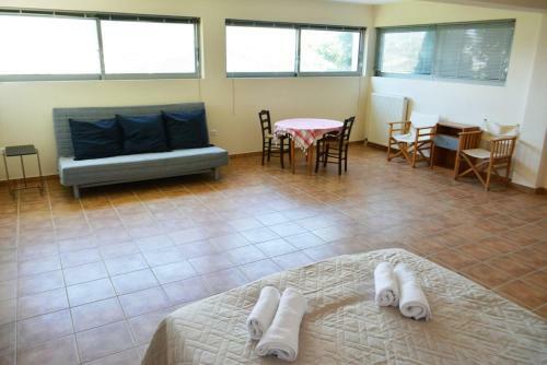 Villa Pink House With Panoramic View To Porto Rafti