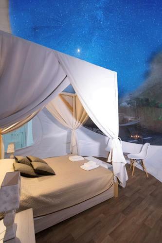 Bubble Suites