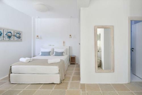 Luxury Paros Villa Villa Aethra Beautiful Serene Glisidia