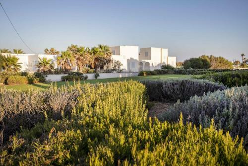 Baiser Du Soleil � Paros - Mikri Santa Maria