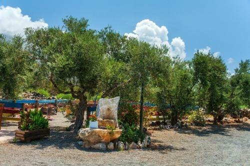 Apartamento Guesthouse Toxotis