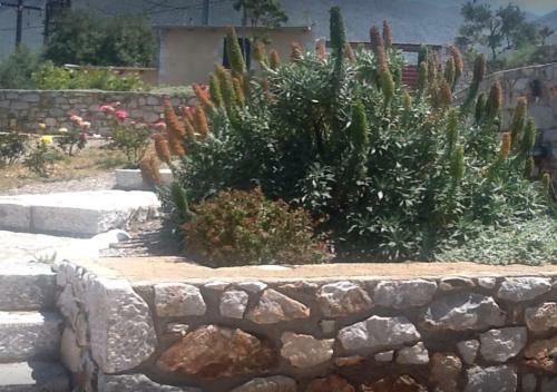 Hostal Focalion Castle Luxury Suites