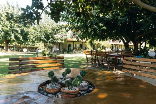Hostal Katia Studios
