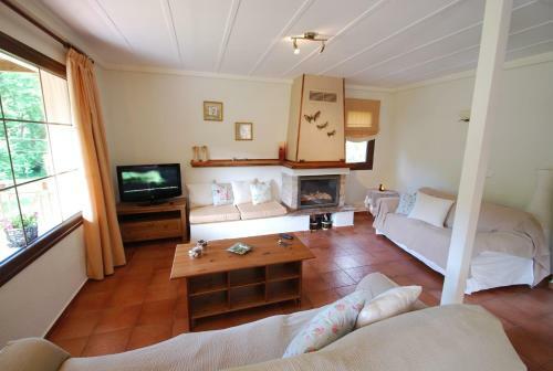 Great Skiathos Villa Three Bedroom Villa Apartment Peaceful Setting Skiathos