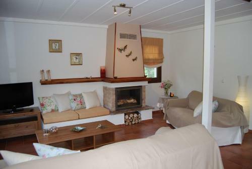 Great Skiathos Villa Three Bedroom Villa Apartment Peaceful Setting Skiathos