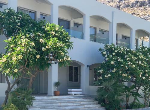 Apartamento Pals Studios Pefkos