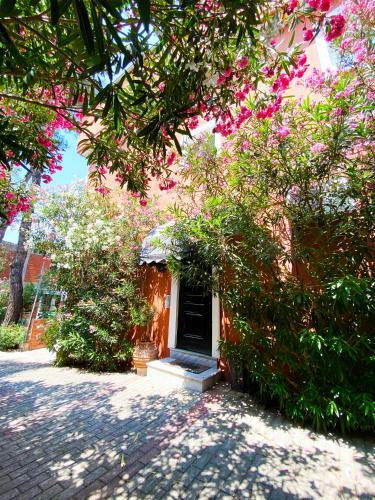 Apartamento Ktima Papaoikonomou 2