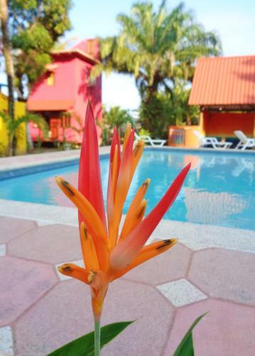 Livingston Resort Hotel
