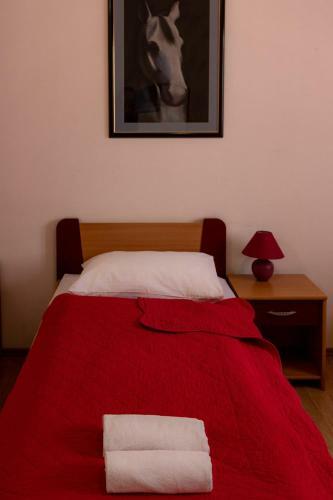 Hostel Plus