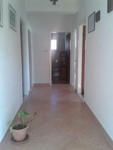 Apartments Ivo - Sea View Terrace
