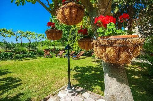 Apartamento Adorata 1