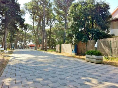 Apartamento Studio In Biograd Na Moru With Wifi