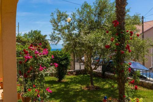Apartamentos Vukic