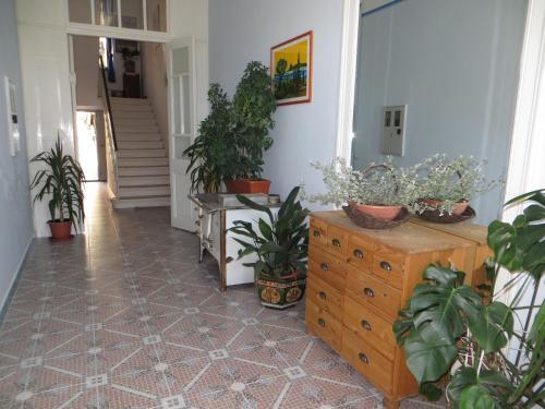 Apartamentos Ivona Ck 1