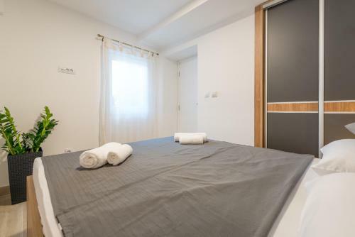 Apartment Hektor