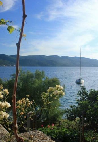 Apartments Nevenkos-20m From Beach
