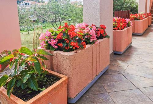 Apartments Slavica