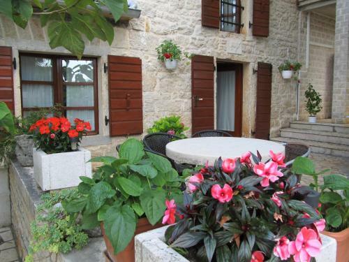 Apartman Vesna
